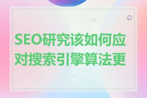 SEO研究该如何应对搜索引擎算法更新
