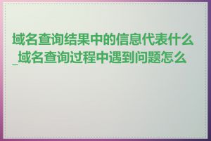 域名查询结果中的信息代表什么_域名查询过程中遇到问题怎么办