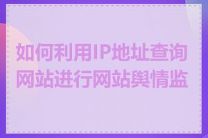 如何利用IP地址查询网站进行网站舆情监测