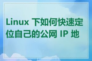Linux 下如何快速定位自己的公网 IP 地址