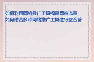 如何利用网络推广工具提高网站流量_如何结合多种网络推广工具进行整合营销