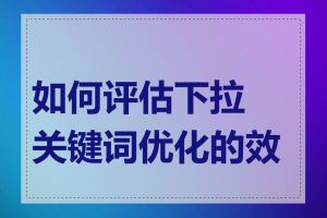 如何评估下拉关键词优化的效果