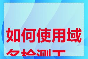 如何使用域名检测工具