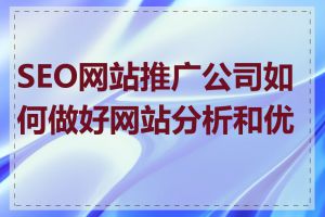 SEO网站推广公司如何做好网站分析和优化