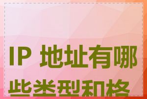 IP 地址有哪些类型和格式