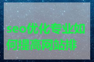 seo优化专业如何提高网站排名