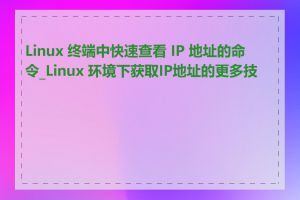 Linux 终端中快速查看 IP 地址的命令_Linux 环境下获取IP地址的更多技巧
