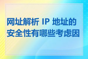 网址解析 IP 地址的安全性有哪些考虑因素