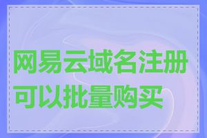 网易云域名注册可以批量购买吗