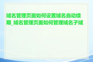 域名管理页面如何设置域名自动续期_域名管理页面如何管理域名子域名