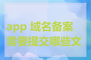 app 域名备案需要提交哪些文件