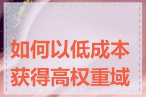 如何以低成本获得高权重域名
