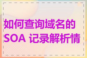 如何查询域名的 SOA 记录解析情况