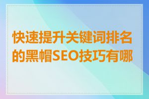 快速提升关键词排名的黑帽SEO技巧有哪些