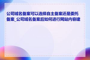 公司域名备案可以选择自主备案还是委托备案_公司域名备案后如何进行网站内容建设