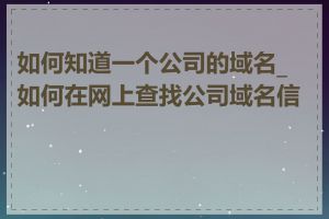 如何知道一个公司的域名_如何在网上查找公司域名信息