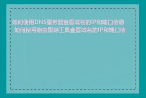 如何使用DNS服务器查看域名的IP和端口信息_如何使用路由跟踪工具查看域名的IP和端口信息