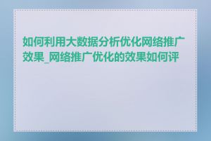 如何利用大数据分析优化网络推广效果_网络推广优化的效果如何评估