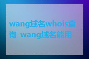 wang域名whois查询_wang域名能用吗