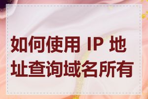 如何使用 IP 地址查询域名所有者