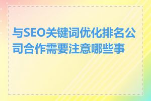 与SEO关键词优化排名公司合作需要注意哪些事项