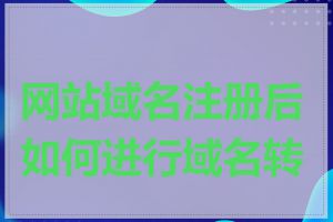 网站域名注册后如何进行域名转移