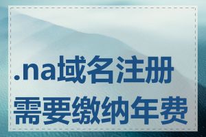 .na域名注册需要缴纳年费吗