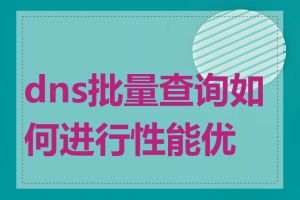 dns批量查询如何进行性能优化