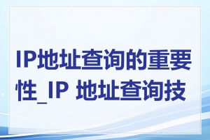 IP地址查询的重要性_IP 地址查询技巧