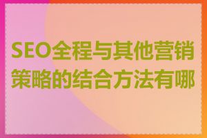 SEO全程与其他营销策略的结合方法有哪些