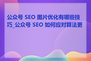 公众号 SEO 图片优化有哪些技巧_公众号 SEO 如何应对算法更新