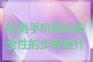 检测手机网站安全性的步骤是什么