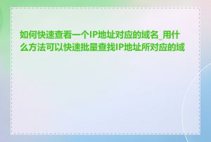 如何快速查看一个IP地址对应的域名_用什么方法可以快速批量查找IP地址所对应的域名