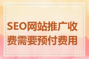 SEO网站推广收费需要预付费用吗