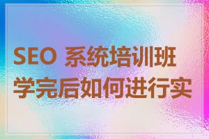 SEO 系统培训班学完后如何进行实践