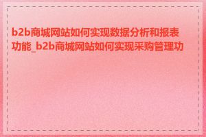 b2b商城网站如何实现数据分析和报表功能_b2b商城网站如何实现采购管理功能