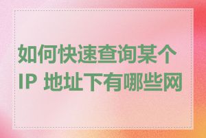 如何快速查询某个 IP 地址下有哪些网站