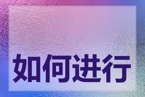 如何进行DNS查询
