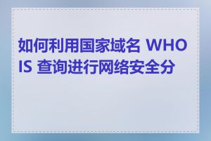 如何利用国家域名 WHOIS 查询进行网络安全分析