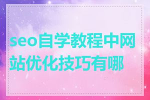 seo自学教程中网站优化技巧有哪些