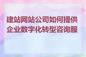 建站网站公司如何提供企业数字化转型咨询服务