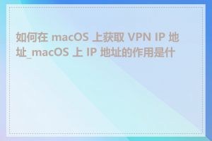 如何在 macOS 上获取 VPN IP 地址_macOS 上 IP 地址的作用是什么