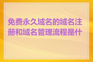 免费永久域名的域名注册和域名管理流程是什么
