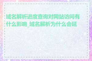 域名解析进度查询对网站访问有什么影响_域名解析为什么会延迟