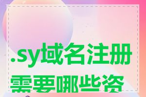 .sy域名注册需要哪些资料