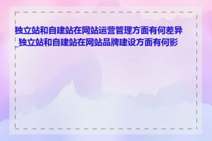 独立站和自建站在网站运营管理方面有何差异_独立站和自建站在网站品牌建设方面有何影响