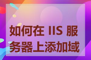 如何在 IIS 服务器上添加域名