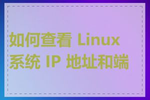 如何查看 Linux 系统 IP 地址和端口
