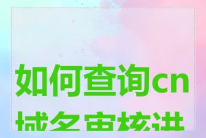 如何查询cn域名审核进度