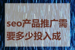 seo产品推广需要多少投入成本